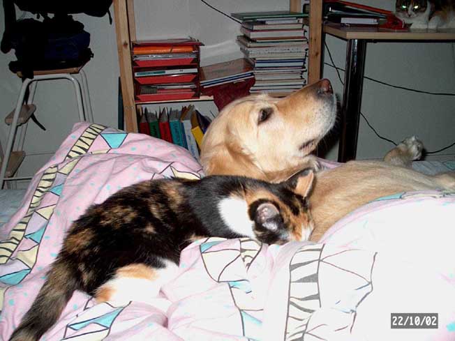 turisti2.jpg (71292 bytes)