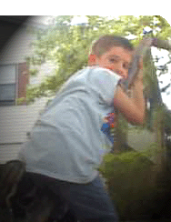 BusinessQuest produces industrial-strength design