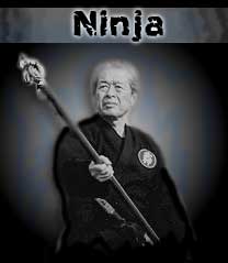 Ninja Secrets