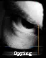  Spying  World 