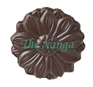The Xanga