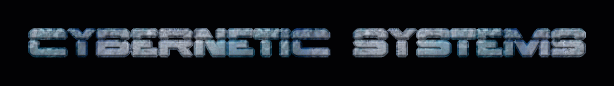 Cybernetic Systems