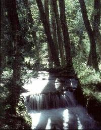 stream.JPG (139081 bytes)