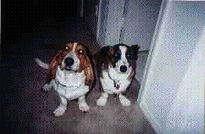 We are so well behaved