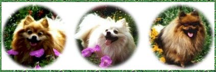 We are just sooo Cute