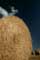 Hay bales