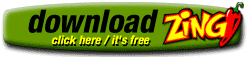 BAJAR EL ZING VELICIDAD EN INTERNET