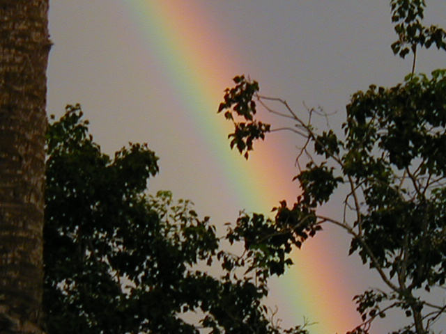 rainbow