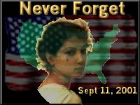 USA911d.jpg (10976 bytes)