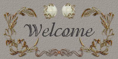 as9.jpg (28816 bytes)