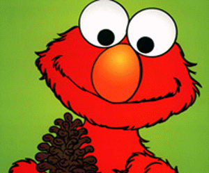 Elmo found a pine cone