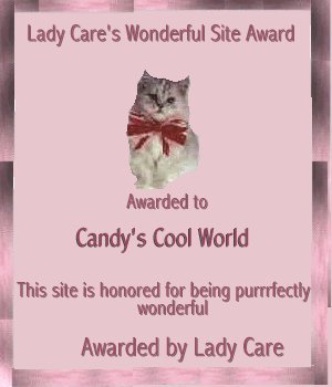 Lady Care's Wonderful Site Award!