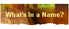 What's In a Name?