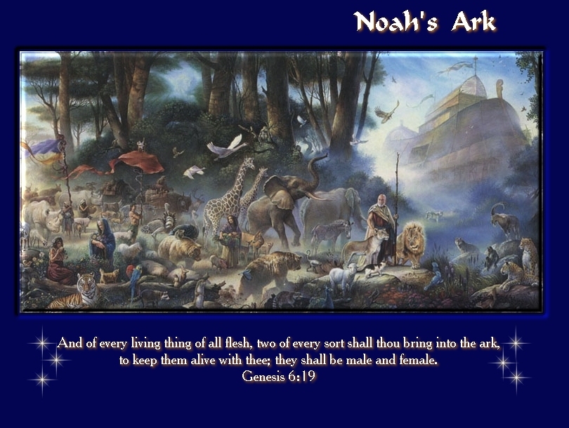 Noahwallpaper