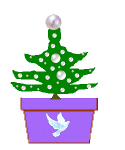 The Site 
Fights 
Growing XMas Trees