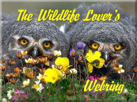Wildlife Lover's Webring Logo