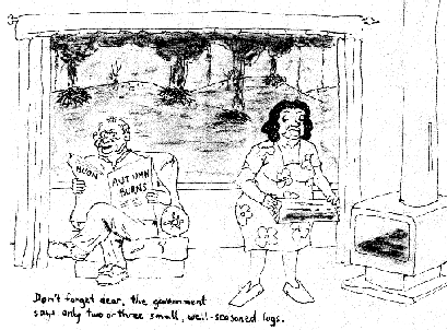 Government standards