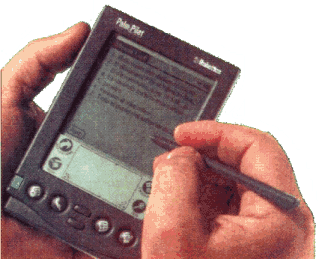 Palm Pilot