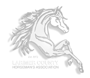 LCHA Logo