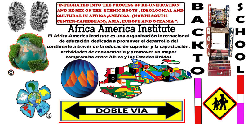Africa America Institute 