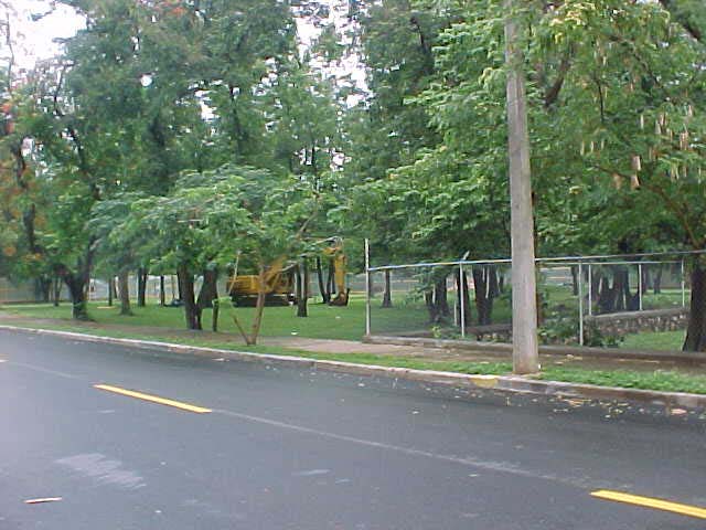devastaciones y tala de arboles en el centro olimpico juan pablo duarte en contra de la ley que crea la secretaria de estado de medio ambiente y recursos naturales