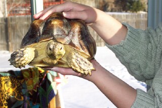 We all know who she named him after