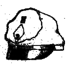 cap.gif (6883 bytes)