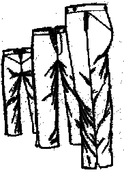 trous.gif (17391 bytes)