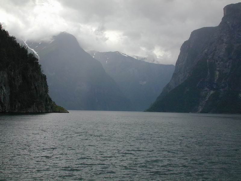  Norwegian Fjord 