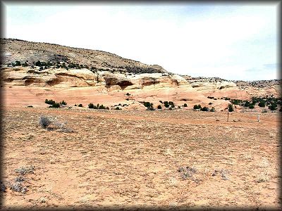 Rabbit Valley Desert