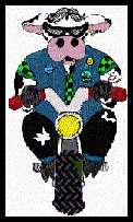 biker cow