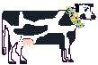 Cow graphic