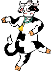 Cow dancing
