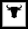 Bull graphics