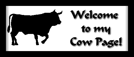 bull welcome