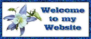 Columbine Flower Welcome