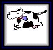 Flying Cow