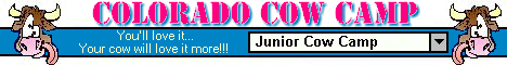 Colorado Cow camp banner