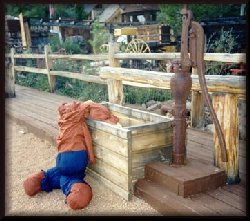 Water Trough in Pitkin, Colorado