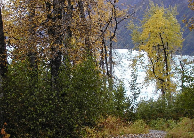 Child Glacier wallpaper