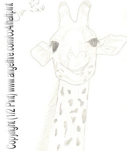 A giraffe
