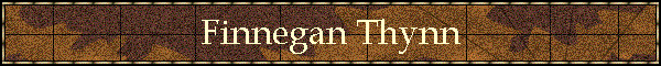 Finnegan Thynn