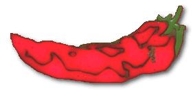 Shadowed chili done on white background