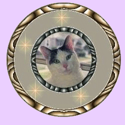 Variation using lights from tube