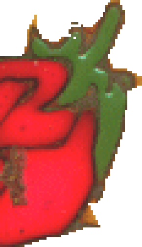 enlarged section of chili