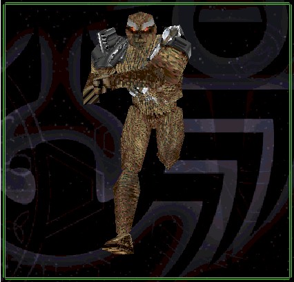 Dawookie.jpg (44977 bytes)