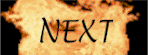 next.gif (5018 bytes)
