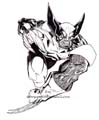 [Wolverine01 b&w]