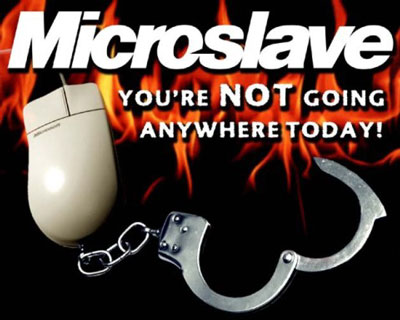 Microslave software