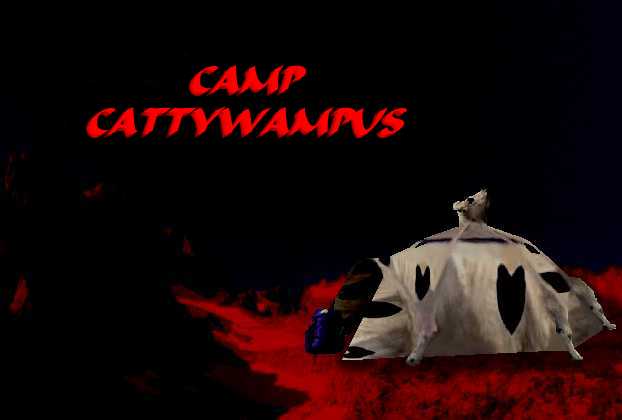 [a fun filled camping trip.]